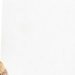 Kleio Valentien cover photo